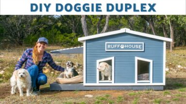 Insulated Doghouse for 2 / Roof Opens for Easy Cleaning / Built in One Day!