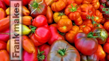 A Year of Making Tomatoes