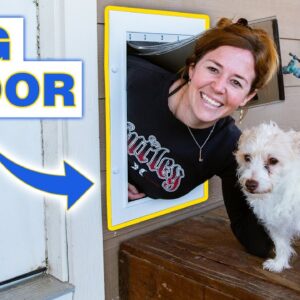 DIY Dog Door | Easily Install a Dog Door In a Wall