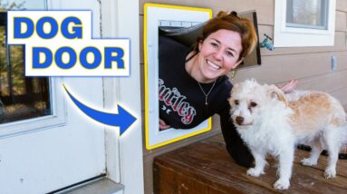 DIY Dog Door | Easily Install a Dog Door In a Wall