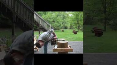 Make a Level Cut with a Chainsaw #shorts