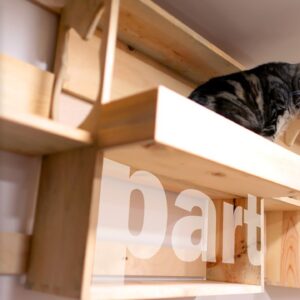 Making A Cat Playground - Part 2