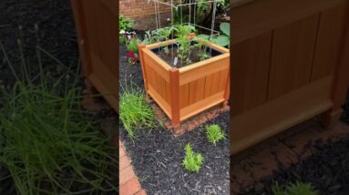 Brick Path to the Garden Bench - Plans Available #shorts