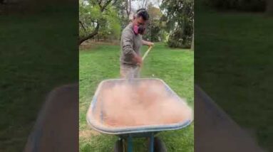 Got Sawdust? - Make Grass Seed Germinate Great for Bare Spots #shorts