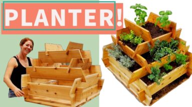 Easy DIY Planter for Herbs, Flowers or Vegetables