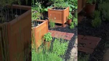 Planter Box, Fun Project with Plans and Step by Step Project video #shorts #garden #planter