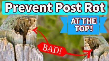 How to Prevent Fence Post Rot at the Top! | Protect Your Fence