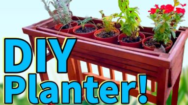 DIY Raised Planter Box | For Indoors or Out