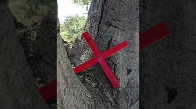 red X