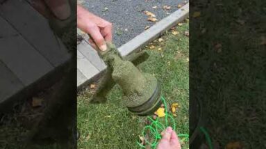 Why I like the Ego String Trimmer #shorts