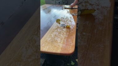 Outdoor Table Finish Update - Will check back again in the Spring