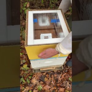 Insulated Bee Feeder Box #shorts