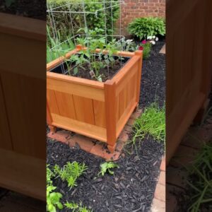 Brick Path and Planters #shorts