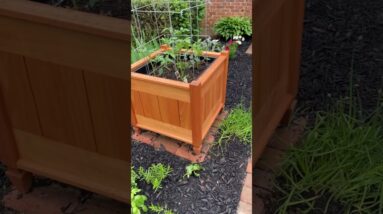 Brick Path and Planters #shorts
