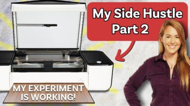 3D Laser Side Hustle | My Numbers Revealed!