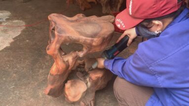 Woodworking Ideas From Dried Tree Roots // DIY Outdoor Coffee Table You've Certainly Never Seen