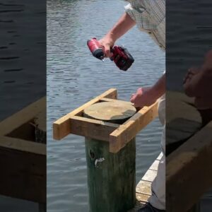 Make a level cut with a Chainsaw #shorts