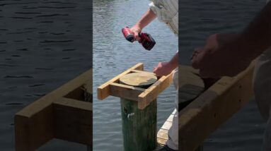 Make a level cut with a Chainsaw #shorts