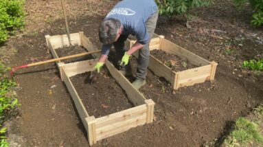 Raised Bed Garden Box - Easy DIY Planter