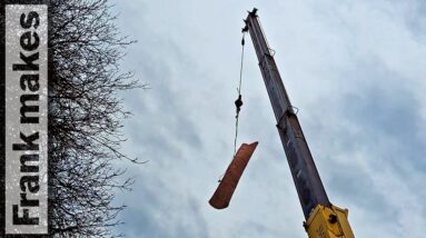 Downed Trees: Destruction and Creation