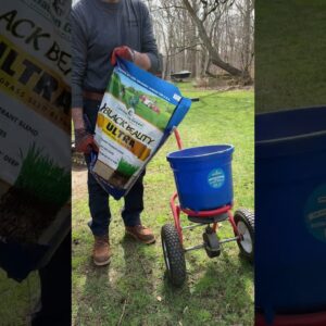 DIY Stump Removal & Lawn Repair