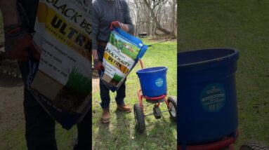 DIY Stump Removal & Lawn Repair
