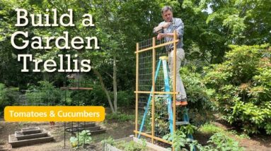 Build a Garden Trellis