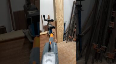 No Flies Allowed in the Woodshop