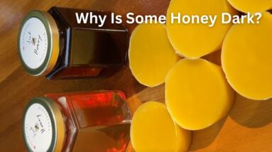 Honey & Beeswax Process - Why some Honey is dark