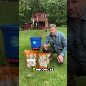 Fall is the Best time to Seed Your Lawn