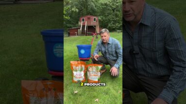 Fall is the Best time to Seed Your Lawn