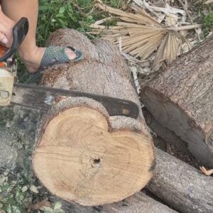 Unique Design Ideas From Dry Branches And Trunks // Amazing DIY Woodworking Projects