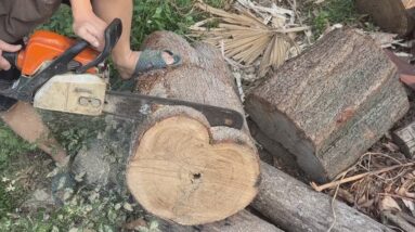 Unique Design Ideas From Dry Branches And Trunks // Amazing DIY Woodworking Projects