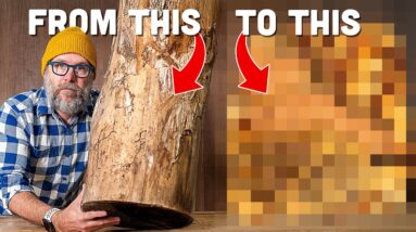I saved this STUNNING piece of wood from the fire pit!