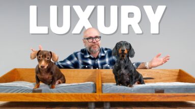 My Dogs Demand Luxury, So I Made Them This…