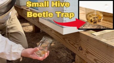 Build a Bee Hive Bottom Board with Small Hive Beetle Traps