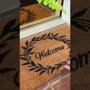 Fresh Coat of Paint on a Cheep Door