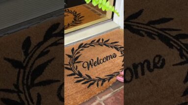 Fresh Coat of Paint on a Cheep Door