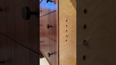 Have you tried Shelf Pin Inserts?