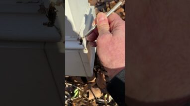 This is why I like Azek or PVC for Outdoor Projects