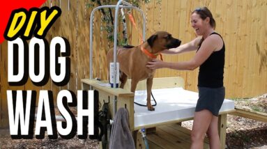 Deluxe Dog Washing Station with Plumbing and Access Ramp