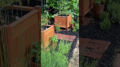 Wooden Planter Box Project - Mother’s Day Woodworking Sale!