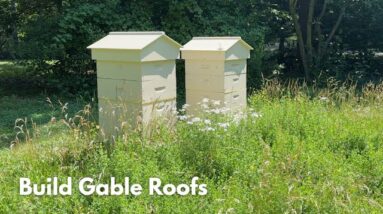 I Built Gabled Roofs for the Front Yard Beehives