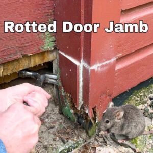 How to Repair Rotted Jamb and Mouse Proof the Barn or Garage