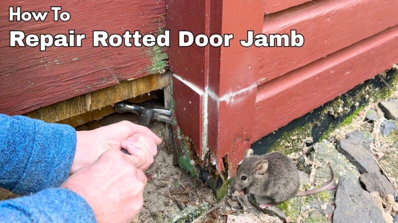 How to Repair Rotted Jamb and Mouse Proof the Barn or Garage