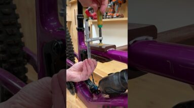 Bike Rack and Work Stand - Woodworking Projects - EMTB