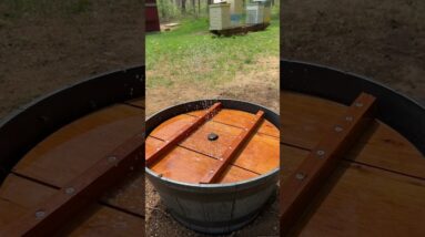 DIY Solar Fountain Platform so Bees Don't Drown