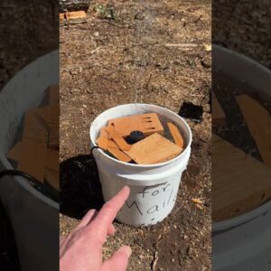 Solar Bee Fountain 🐝💧 | Giving Bees a Better Water Source