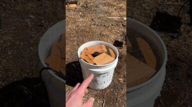 Solar Bee Fountain 🐝💧 | Giving Bees a Better Water Source