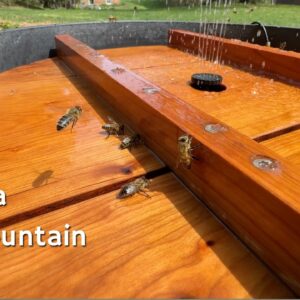 How to Make a Bee-Friendly Solar Fountain